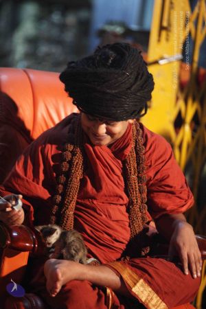 20160223 Photo 1032 1IANtfj-mk95PeleDfUbN5hk1XN6B1Vxe.JPG