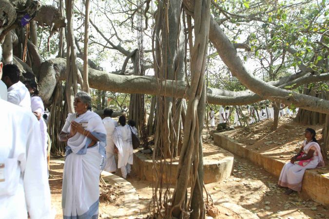 20160227 Photo 205 1HMyRVoxtVrfxuOvRdD4NHPNyDe0F3ioe.jpg