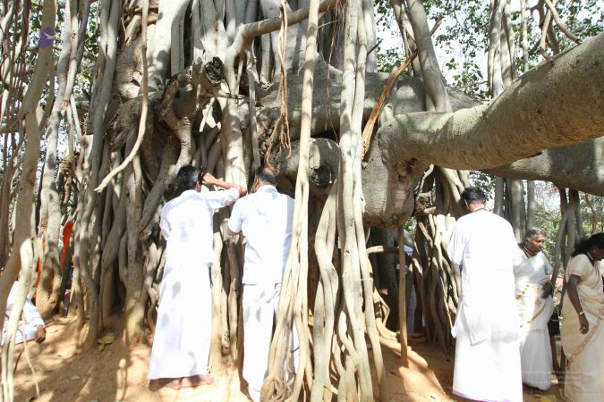 20160227 Photo 211 1dMNPhmLVNM33XtzDvy298HeJnkeeAhNH.jpg