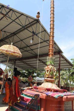 20160301 Photo 109 1g8PDFYpLPgyD1Ync3gsngJwjkfEcDe0D.jpg