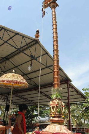 20160301 Photo 110 1WX-UxSd7paeC0WsXzL5LBz3q4rOBd9D-.jpg