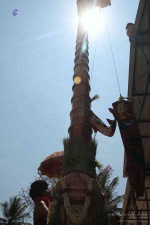 20160301 Photo 214 1rxml7kcCIZZz-yc15FLgCn3-gZ59sN67.jpg