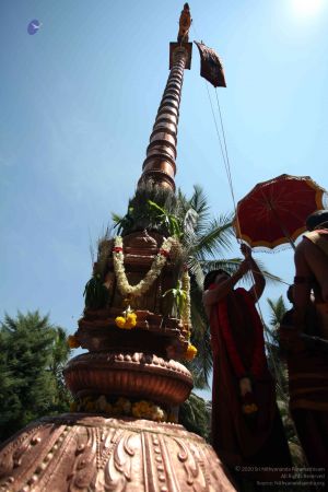 20160301 Photo 221 1EqR0VaWiYMDAE5vDhbFY2zNBJ9 b tF6.jpg