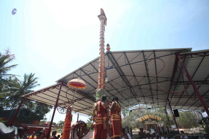 20160301 Photo 240 19vsJuL9z7PhrnGc4qJXASsOuiQBnaxfL.jpg