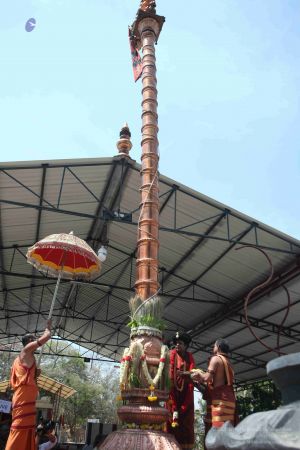 20160301 Photo 243 1CPktZJ7HGd-hHMFj5H7ttlpSJe-FSfBk.jpg