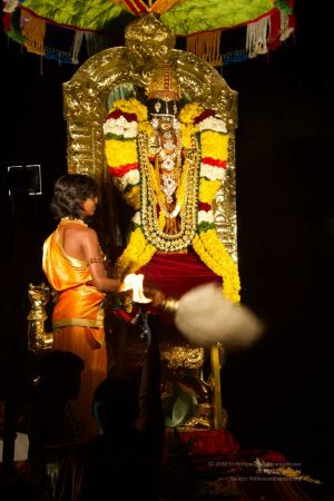 20160302 Photo 250 1SBkwcImRmXiTGxis5GjpigYkWwDsMTTZ.jpg