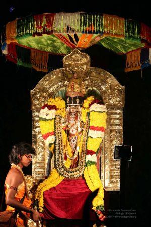 20160302 Photo 365 1sgIjDwMZkyJP8N7m1vvFKVQaT10dvGkL.jpg