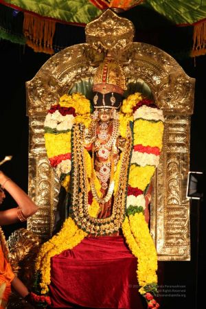 20160302 Photo 697 16TJ2tZeqtEdNCHXMZbVwDzkeWg9DPo6n.jpg