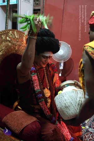 20160306 Photo 1045 19RsmQe9TNJwYJ3kWkdGeYNVQCd7undsx.JPG