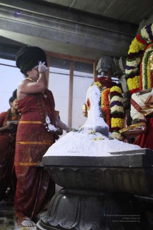 20160307 Photo 1196 1RNZ-1-VFnIOHLDeRtBskOg1N9fQSj0bd.jpg