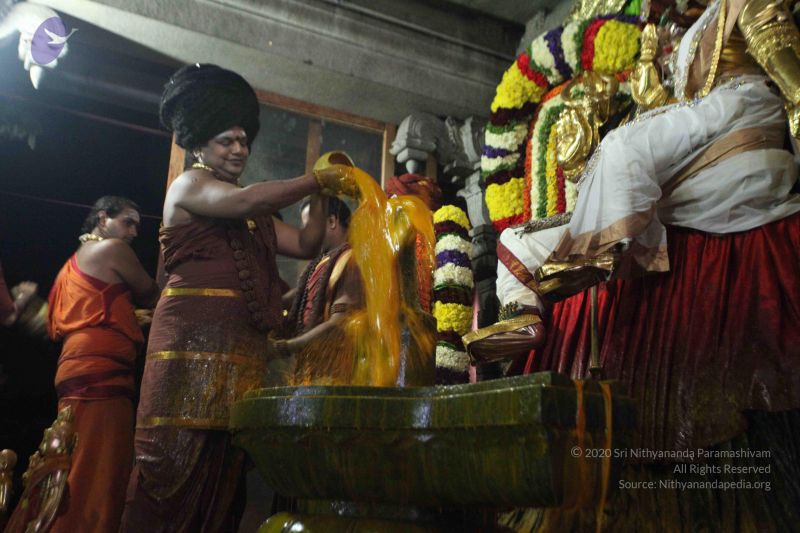 File:20160307 Photo 2600 19acojkkqL3syQOyQK iscvcJidy0i0qi.JPG
