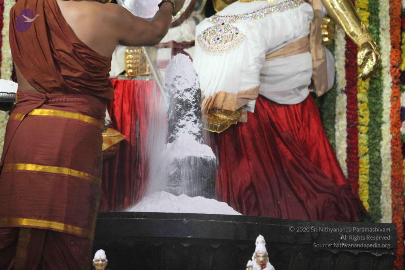 File:20160307 Photo 2777 1K7boVDP jMKwV-76RFECCPWNmMnVqd2j.JPG