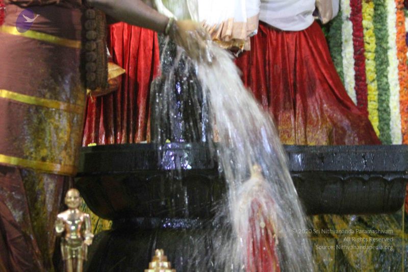 File:20160307 Photo 2903 10TgeSRqWKD4AZqW2L cKduo8RGW7m6We.JPG