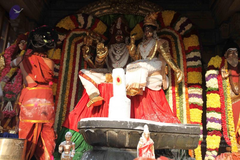File:20160307 Photo 3032 1 LsRpmYsAM9gCTiIfs4IgqhqalCMjsVa.JPG