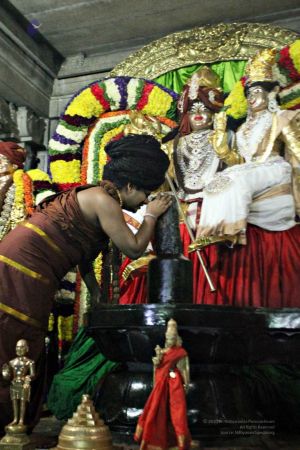 20160307 Photo 714 1Wz5bILNPEEJVOX4rsXIh98TdeejvDdMR.jpg