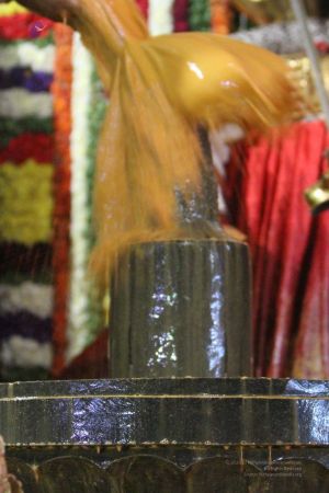 20160307 Photo 750 1MSjbal xoavykEX tKNW1imGs ru2Xkn.jpg