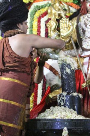 20160307 Photo 754 1hDTEWYbcj-4XxUpylN2sx3ptJpaGklrI.jpg