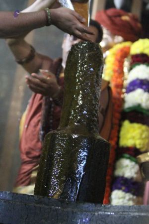 20160307 Photo 768 1Llp2FB6vc8svAfH-qAFN2I-S4IfPBjpd.jpg