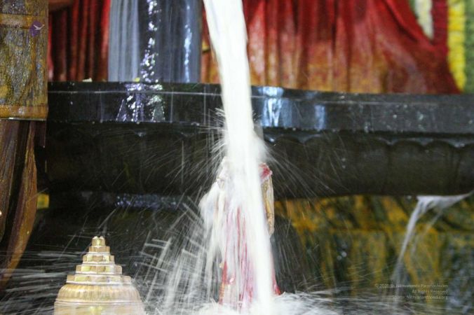 20160307 Photo 890 1TwOWWKBWspYXb4DeNwNCxCtHHwsKj-2R.jpg