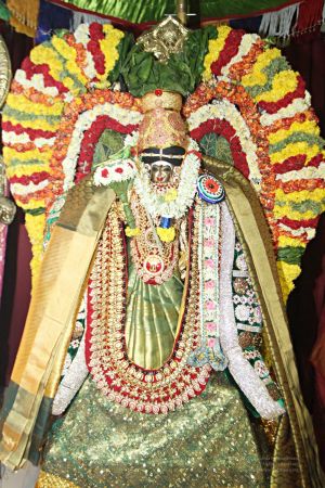 20160327 Photo 289 1i9vpBe3T xNhxTKq2fwEQ5PUYGhEFZib.jpg