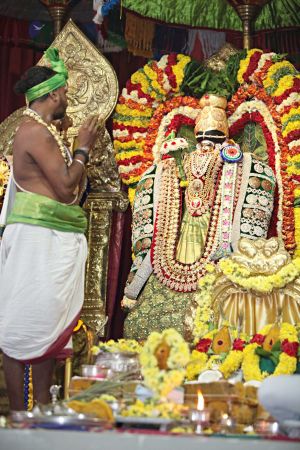 20160327 Photo 339 1fzA7TNjKZiayFlM2Xxgb6IG1R3L1i8SB.jpg