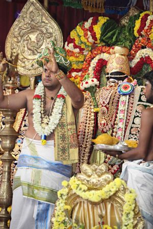 20160327 Photo 368 1A5cv1DwteCDrB3KS2emyrxG1bLWLNvWH.jpg