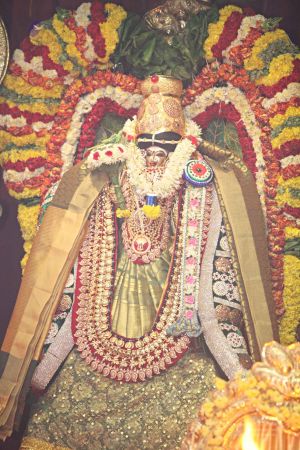 20160327 Photo 459 1woIIVNn2BWXyzHoLTkBS2YLiPhRNNFJR.jpg