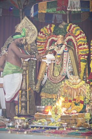 20160327 Photo 471 14Gk6bWzxqfM6SkrT1cXTrRpNCeus7ohY.jpg