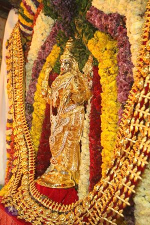 20160403 Photo 1033 1-vRfz-r8HRfwB9Ko83rav6NHR08LiqgP.JPG