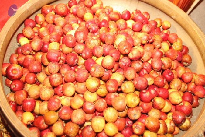 20160425 Photo 1040 19kbi85UEx-kOsY 0NRFHvb4iAoqmgTC7.JPG