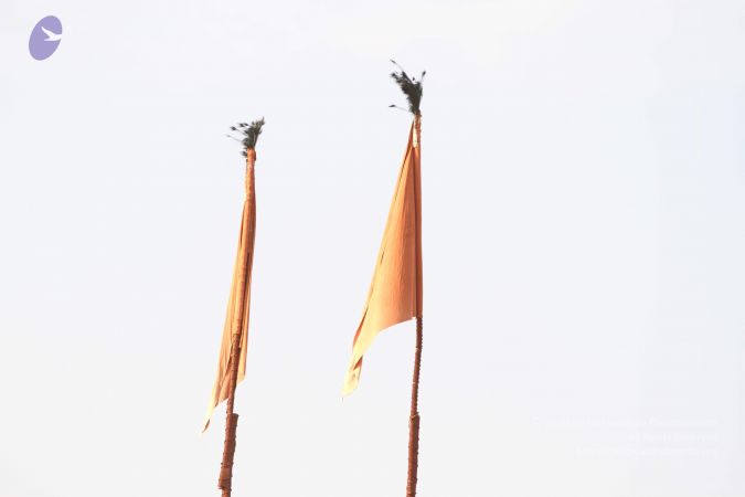 20160509 Photo 2058 1D-2PhhrFJI gDxfrr2mL0bE4Zj9p48hZ.JPG