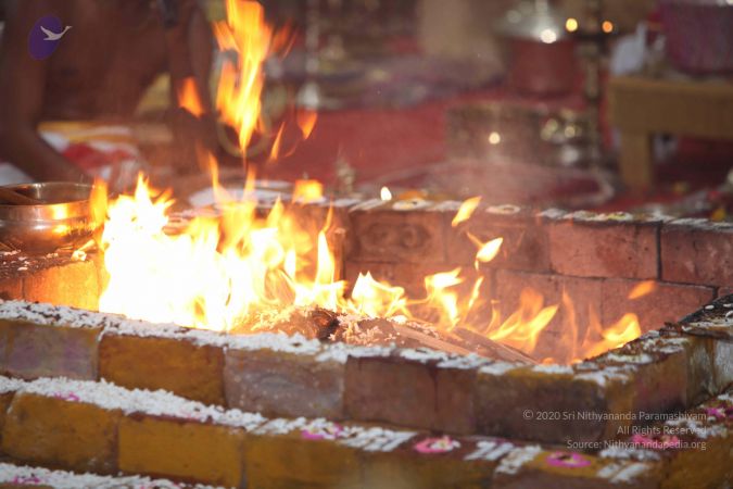 20160515 Photo 1236 1Ku2NWvPX6-8n9mRzppNjoX4MelLZqkJD.JPG