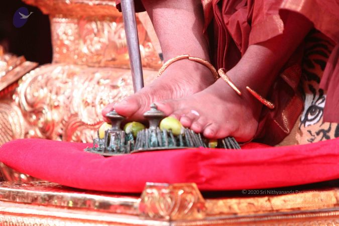 20160521 8699 CMP WM.jpg