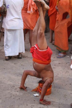 20160521 Photo 1453 1aVPdzOViUOsIrJCjgq80z4tcupcAoC67.JPG