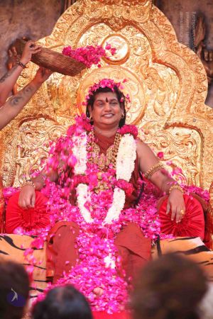 20160524 Photo 1524 1Nh1tJwW3wJyhuP-be9MlGk5oPaBMbKkj.JPG