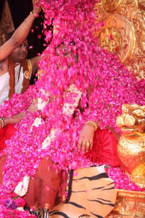 20160524 Photo 1680 1ezPDZ5ScJqt5JkGhXFgqvIRc9pW5bLaQ.JPG