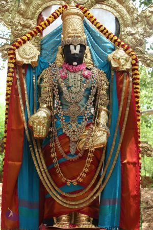 20160615 Photo 1218 1K-608NMJB7gl5eW6sOO1osRv9VUnXFDw.JPG