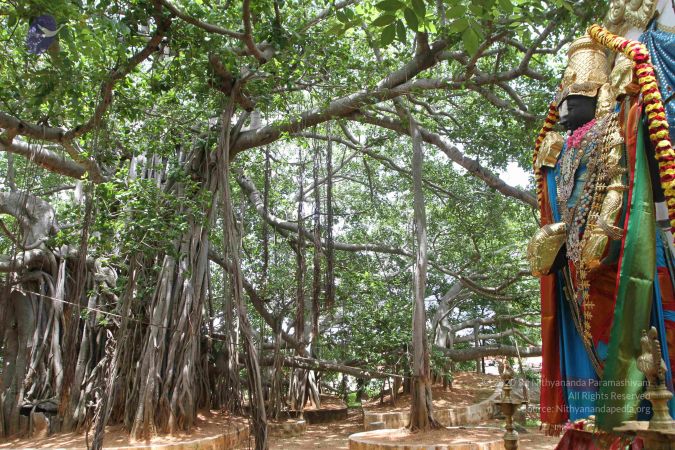 20160615 Photo 1224 1T1htnImeDFknUFuVyxdLE94QrRAEuiJe.JPG