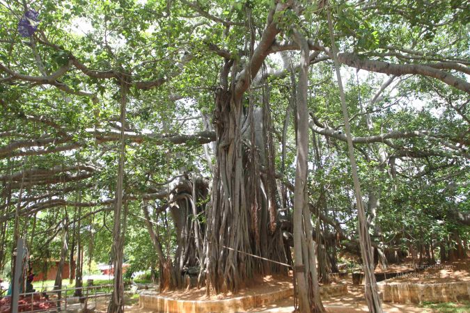 20160615 Photo 1238 1L4hEwmefCLT9qdxtT21 68gefrNcfUHe.JPG