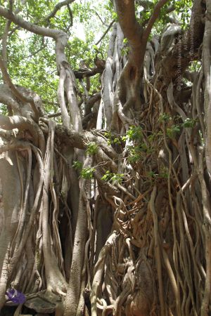 20160615 Photo 1241 1gLxE9m8dPF1F8QLlRPBO8CMTGqjFaYvy.JPG