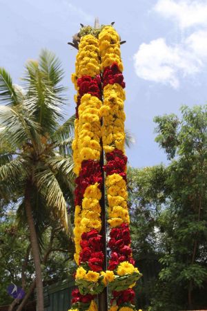 20160615 Photo 1245 1yGH2DOK E3zAYveNBvPXczYz1r4DXDZU.JPG