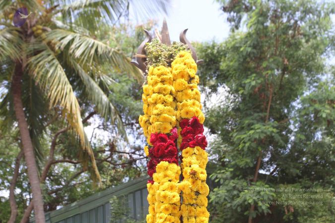 20160615 Photo 1248 1NSJjrE4xVBV1bR26qphouyNW1RrrkqUp.JPG