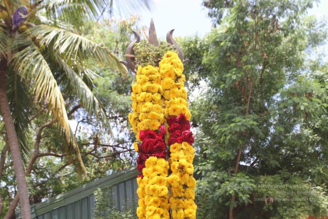 20160615 Photo 1249 1OrbOWlf7Sj9OCo47kiXGJ-m6c1u0m8J7.JPG