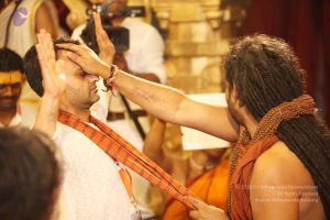 20160627 5039 CMP WM watermark.jpg