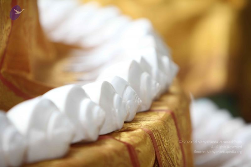 File:20160702 6317 CMP WM.jpg