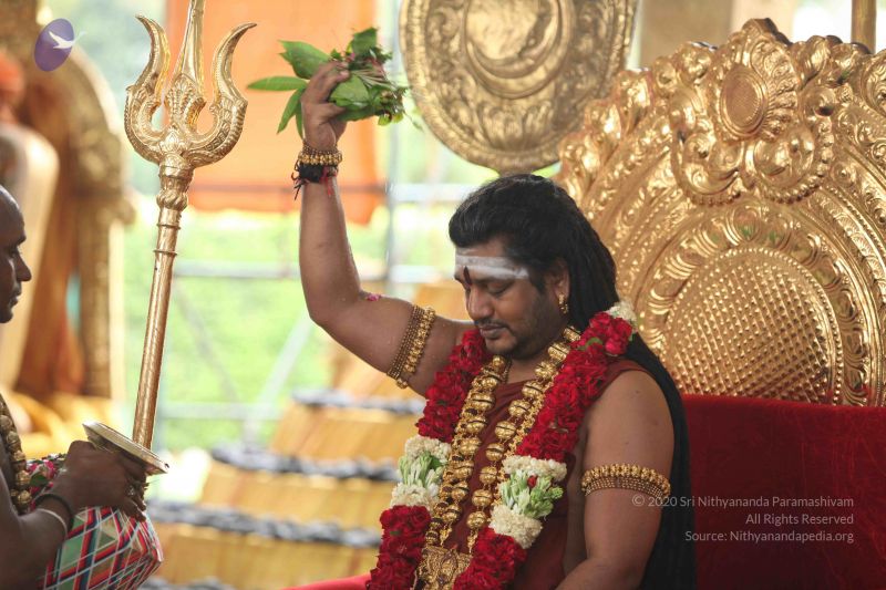 File:20160702 6439 CMP WM.jpg