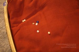 20160702 6527 CMP WM.jpg