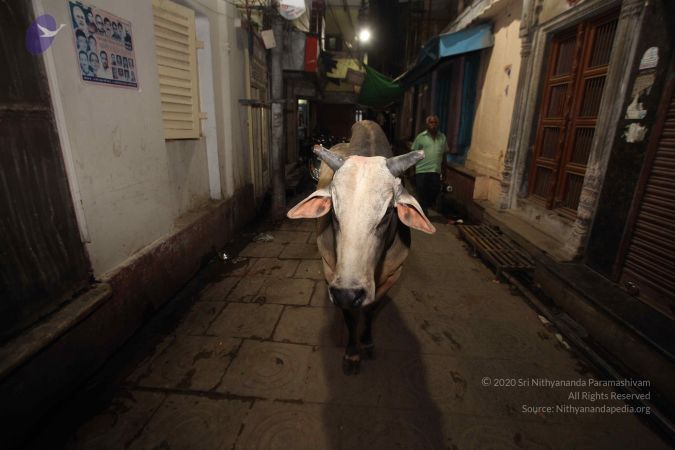 20160710 Photo 1158 1PAyHaJho GLzKi5NzOw9BfRG5Zzjj60x.JPG