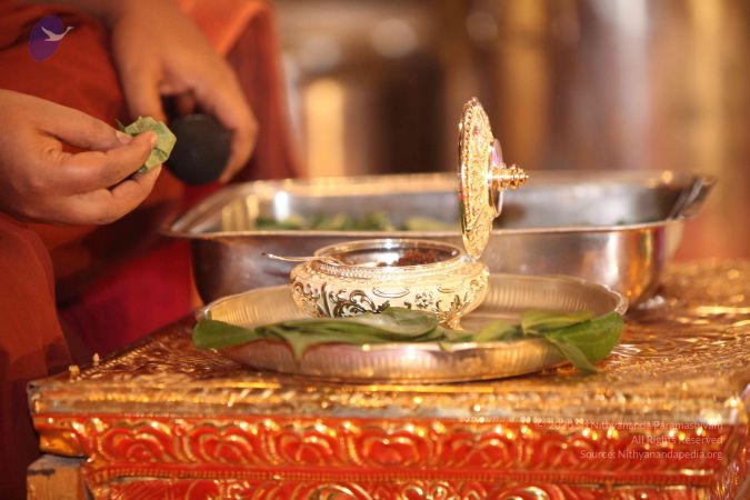 20160712 Photo 1138 1X eWov4OwcBoZd3IpjVZC1e35ikz9GWz.JPG