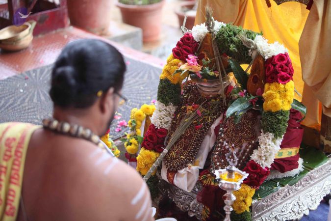 20160718 Photo 1015 1T00uJcD1j qRY2C2oH8cvocvMB5S2Pb3.JPG